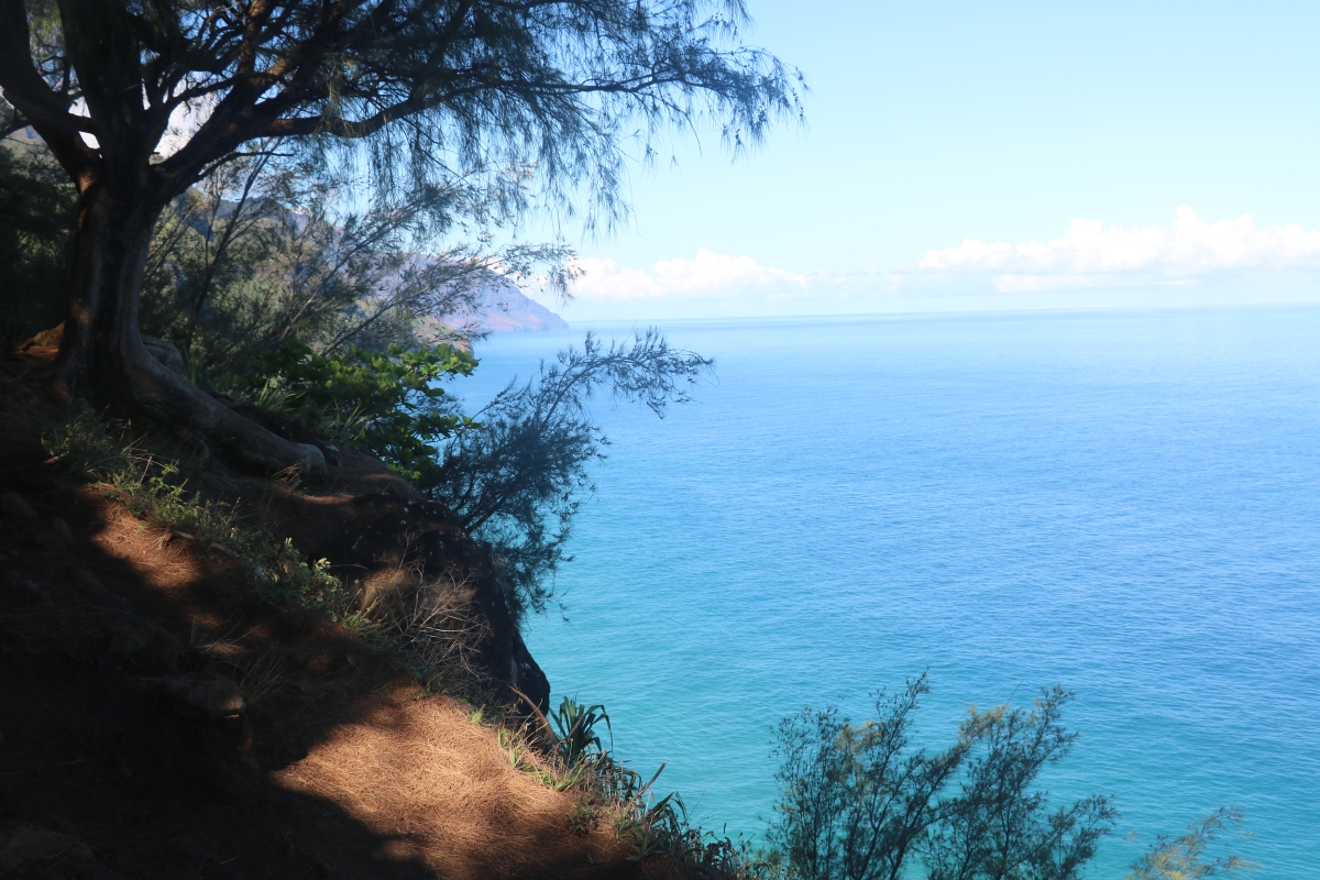 Hiking along the ocean  